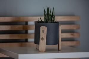 Minimal Central Apartment By The Sea