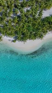 Kuda Vilu, Mathiveri, Maldives - Feridhoo