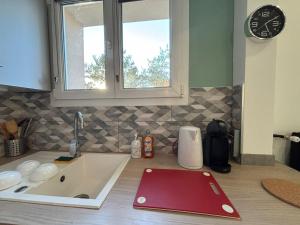 Appartements Appartement 1 chambre a Thionville proche Luxembourg : photos des chambres