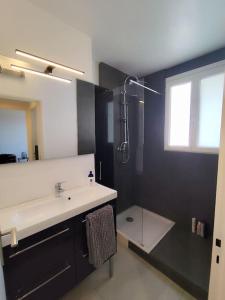 Appartements Appartement Le Repere du Vert Galant : photos des chambres