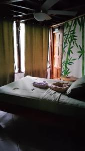 Jungle Farm, Digital Detox Cottage in Nicaragua