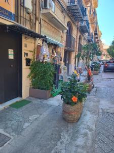 Apartamento Estudio