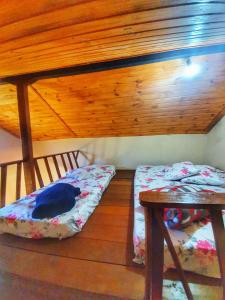 Chalé e Camping Elementais