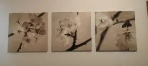 Casa Mina - Cavallasca