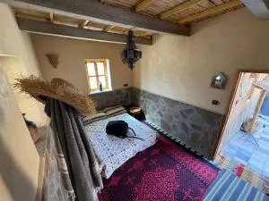 Lodge bio berber nomad - Nkob