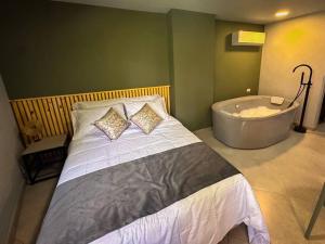 Loft moderno con bañera Medellín 1-03