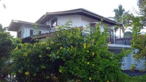 Tanya Homestay