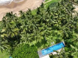 Villa Maggona - Akkaragoda