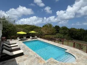 Private villa with large pool & 5min walk to beach - Cap Estate