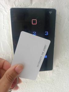 XX BAO Patong Beach Phuket 3