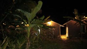 KA Surf Hostel