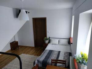 Eko Dworek apartamenty 1,5 km od Energylandii