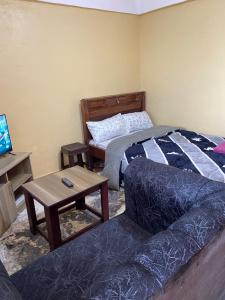 Tsavo Apartments Ogembo Single Room