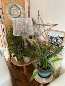 B&B / Chambres d'hotes Maison d'hotes Larraldia : photos des chambres