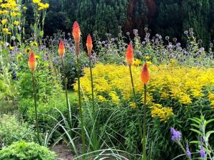 Studio Bloemenboerderij-Aperloo