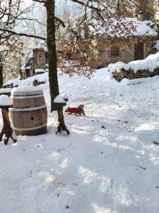 Campings Insolite bergerie dans la foret : photos des chambres