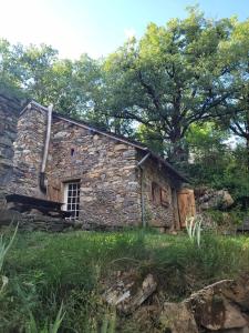 Campings Insolite bergerie dans la foret : photos des chambres