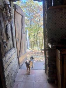 Campings Insolite bergerie dans la foret : photos des chambres