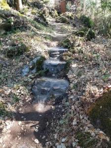 Campings Insolite bergerie dans la foret : photos des chambres
