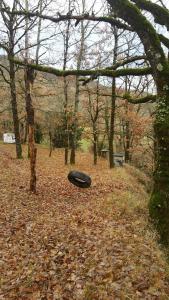 Campings Insolite bergerie dans la foret : photos des chambres