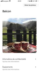 Studio cabine 4 couchages vue sur les pistes