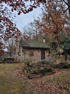 Campings Insolite bergerie dans la foret : photos des chambres
