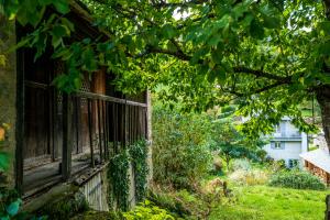 Maisons de vacances La maison de Cyrielle : photos des chambres