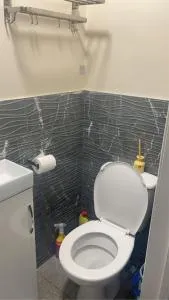 Studio with private shower and toilet - Allhallows