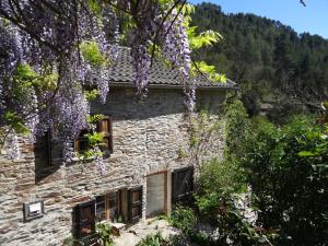 Maisons de vacances Lou Grana : photos des chambres