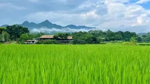 Mai Chau Sky Resort - Thinh Làng