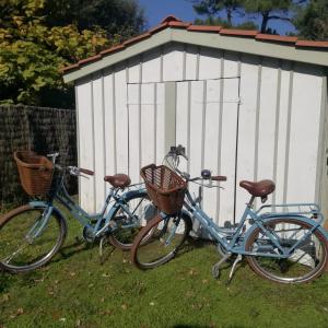 La Belle Insulaire, Vertbois plage, forêt, vélos, wifi