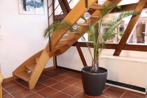 Maisons de vacances Le DorliSchopf gite 2 etoiles : photos des chambres