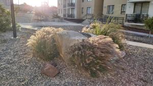 Departamento en Caldera