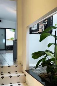 Thỏ Non Garden Bảo Lộc Center - 29 Phạm Phú Thứ