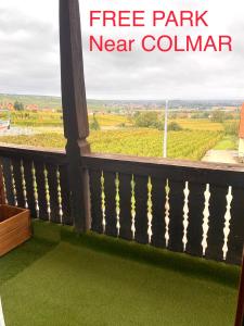Villa BEST VIEW near Colmar- FREE PARK & WIFI