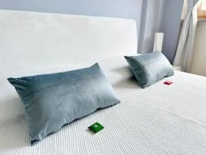 Torakiki's Home Linate Airport M2 Lambrate - Lambrate