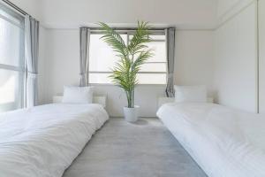 2 min from Nakatsu Station 5person apartment