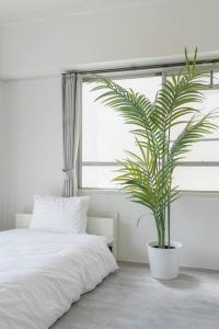 2 min from Nakatsu Station 5person apartment