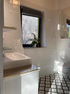 Szalamandra apartman Dömös