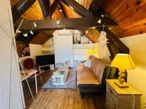 Charmant studio entièrement rénové et équipé - Bichereau