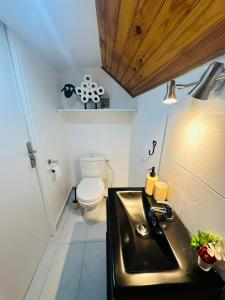 Appartements Charmant studio entierement renove et equipe : photos des chambres