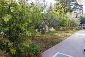 SAB 1 Cozy Modern Apartment Fier