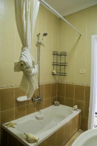 شقه الفورسيزون