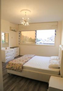 شقه مفروشه بالزمالك