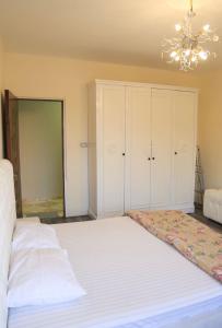 شقه مفروشه بالزمالك