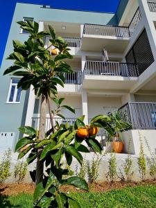 Apartments Royal Holiday