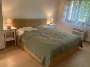 The Park Apartment - Kerepes