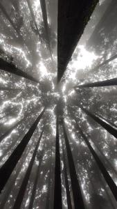 Natures Lap Homestay