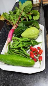 Natures Lap Homestay