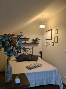 la nocciolina mansarda in centro - Bergolo